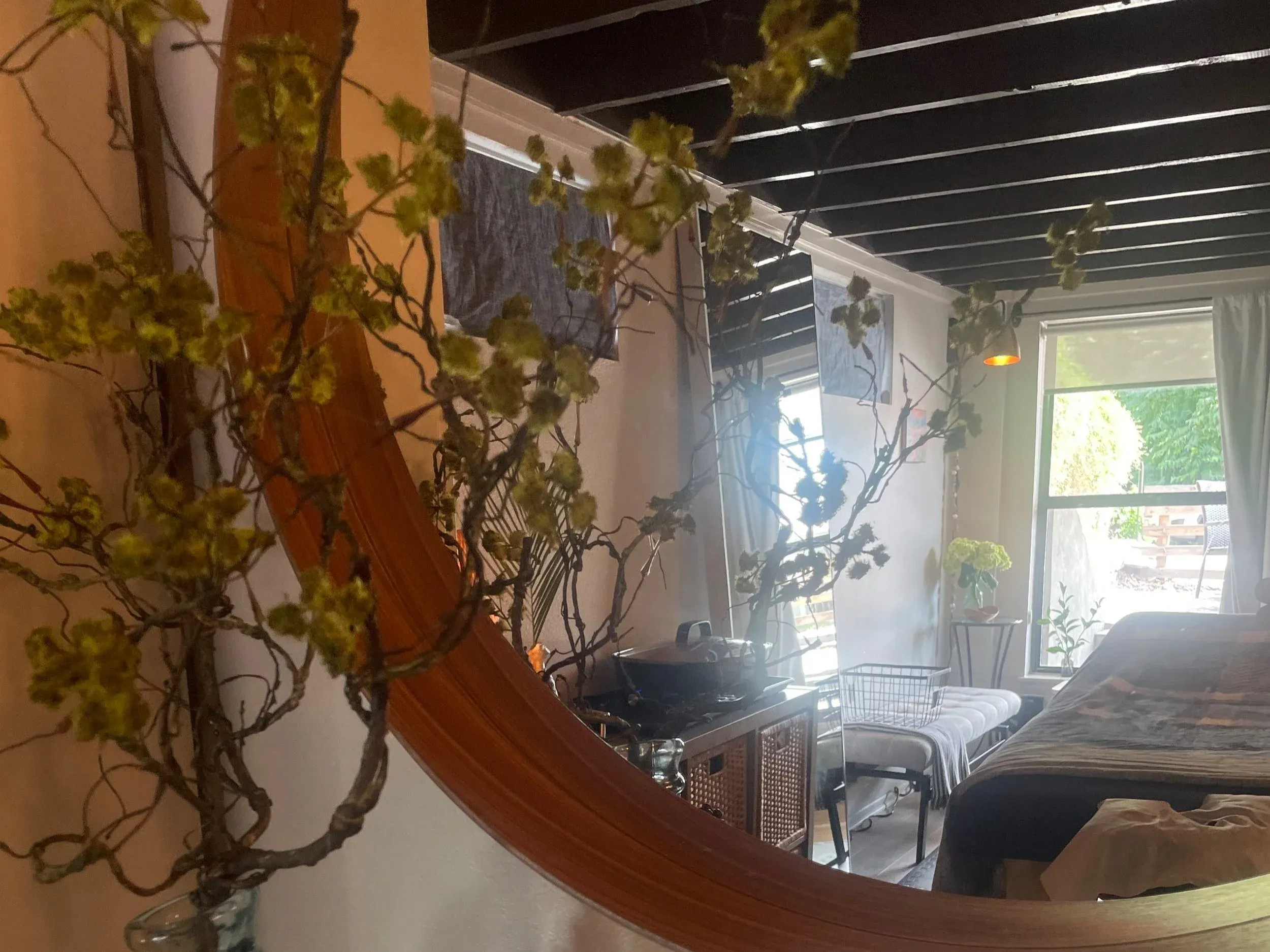 Studio interior view past dried branches into the treatment area
